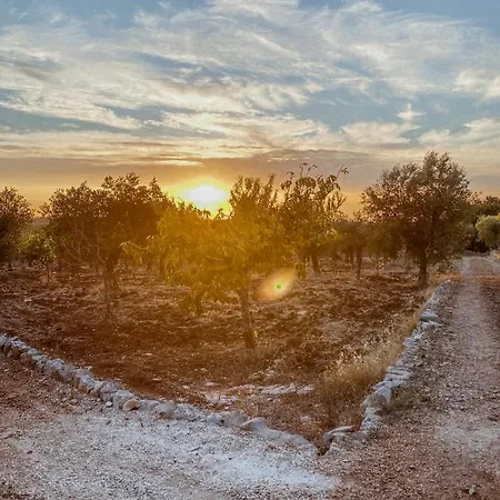 Casa vacanze I Trulli Dell'uliveto By Apulianbnv Castellana Grotte